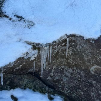 可愛いツララもあります。