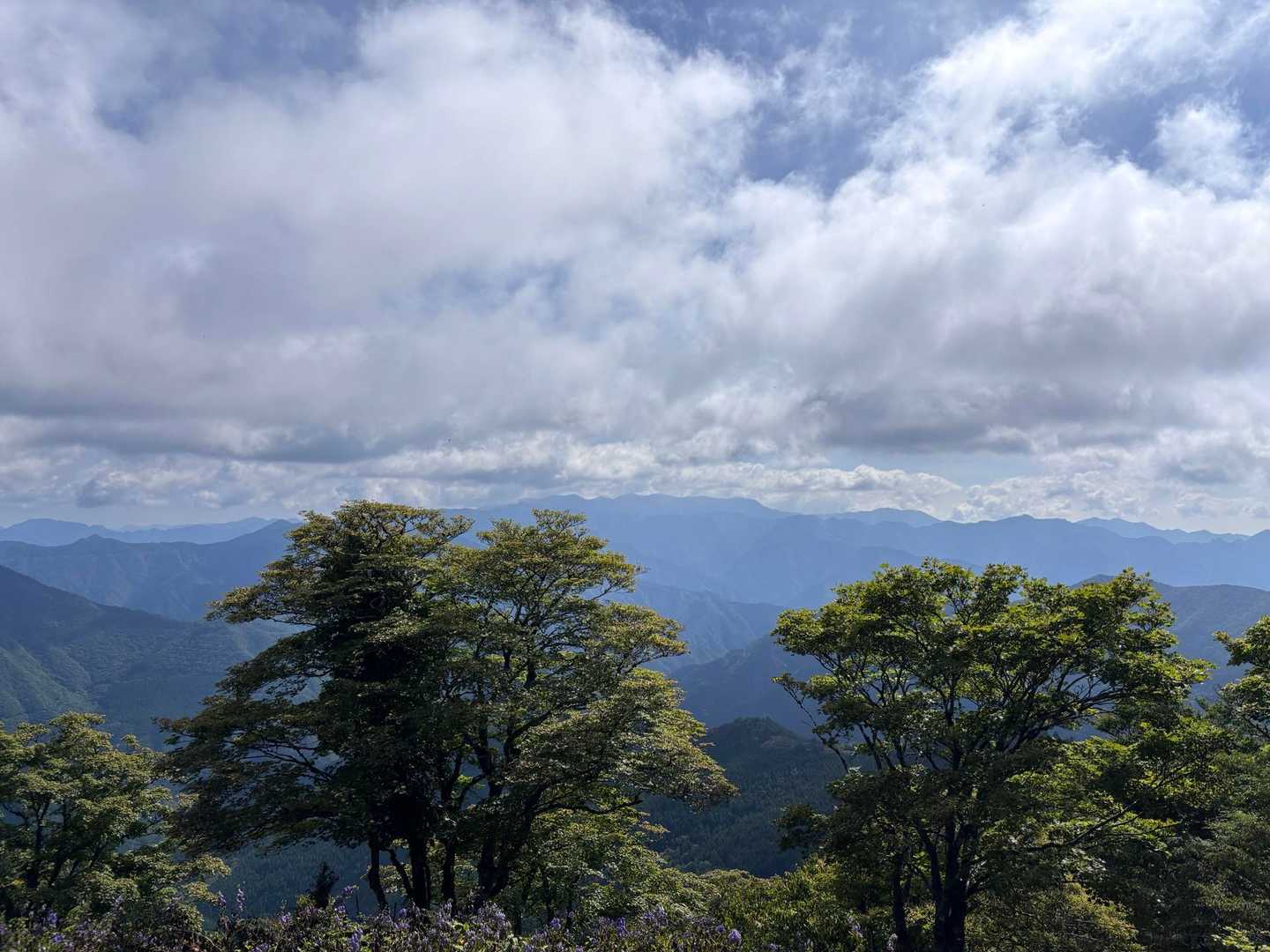 右手には大台ヶ原方面
左手には弥仙方面の山々
景色を眺めながらの稜線歩きは最高ですね