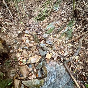 雨が強くなってきましたが、急いで下山しようとしても滑るルートが続くので慎重に！