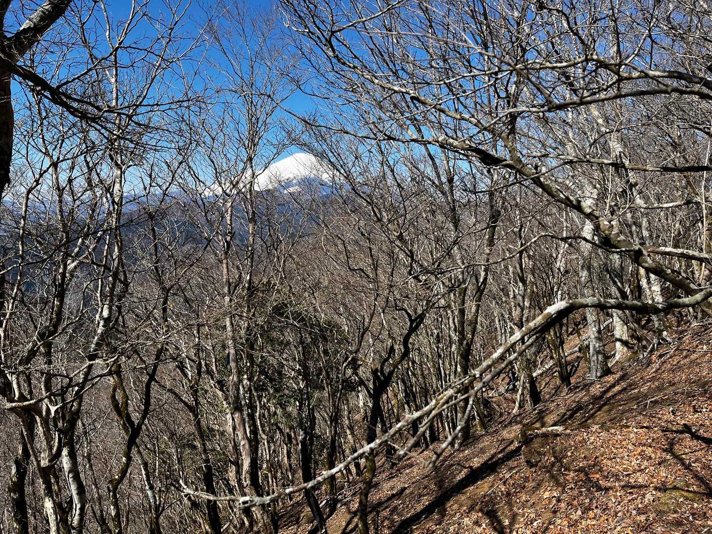 権現山山頂からも富士山が見えます
この時期だけですけど