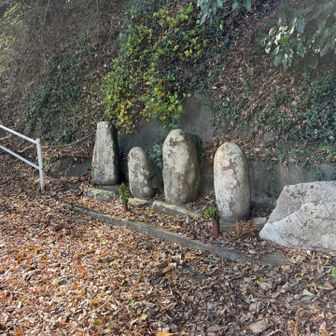 ここが登山口？