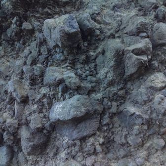 火山礫凝灰岩でしょうか