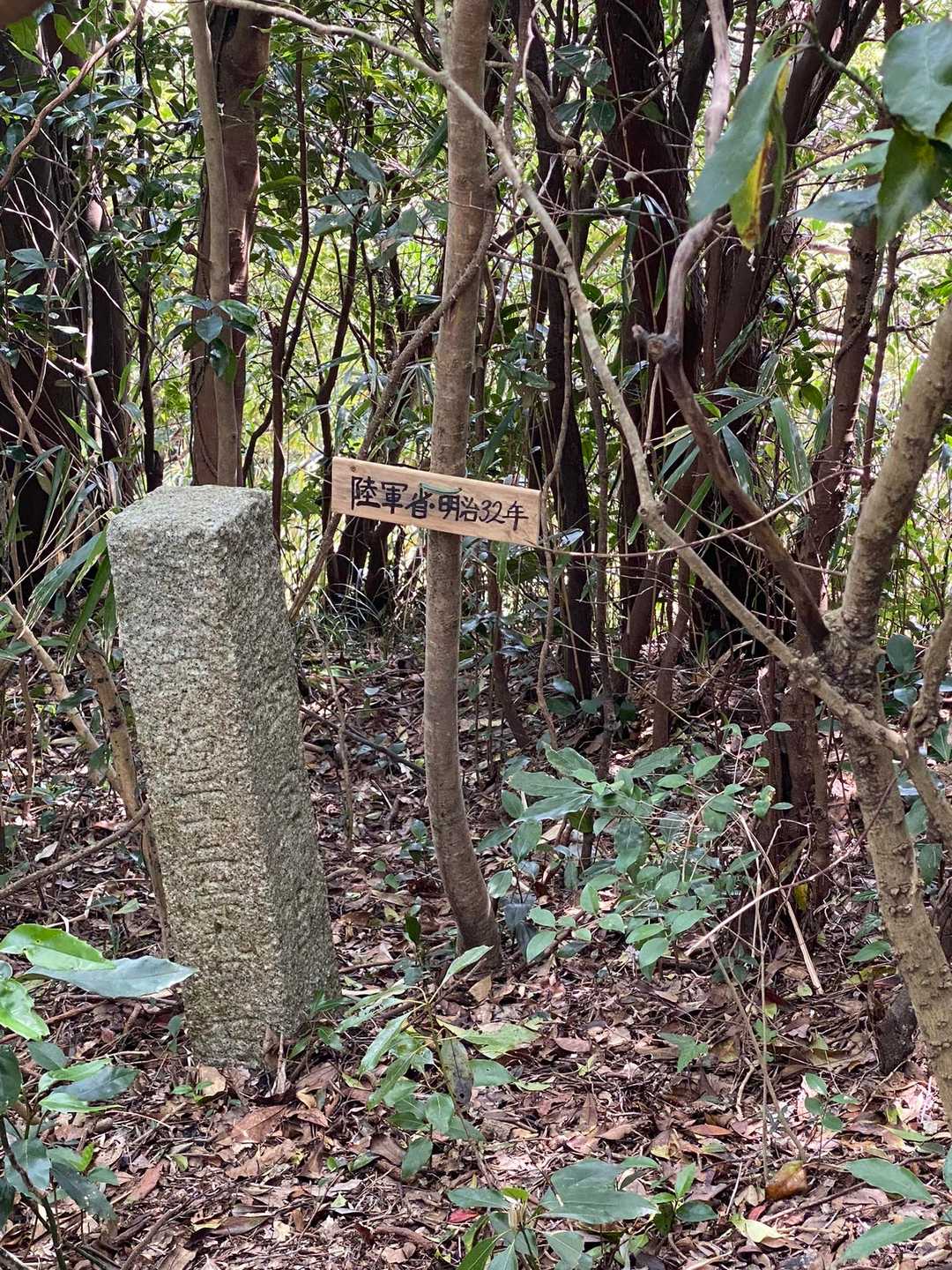 この木が明治32年かと思ってました…😨w