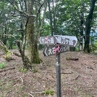 次は、十二ヶ岳へ‼️