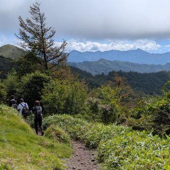 少しだけ富士山が