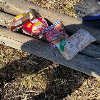 ここで久しぶりに、昨夜のクスリノアオキ戦利品です🥐
今日はここで昼食です