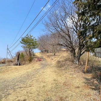 道路を挟んで反対側が登り口👌