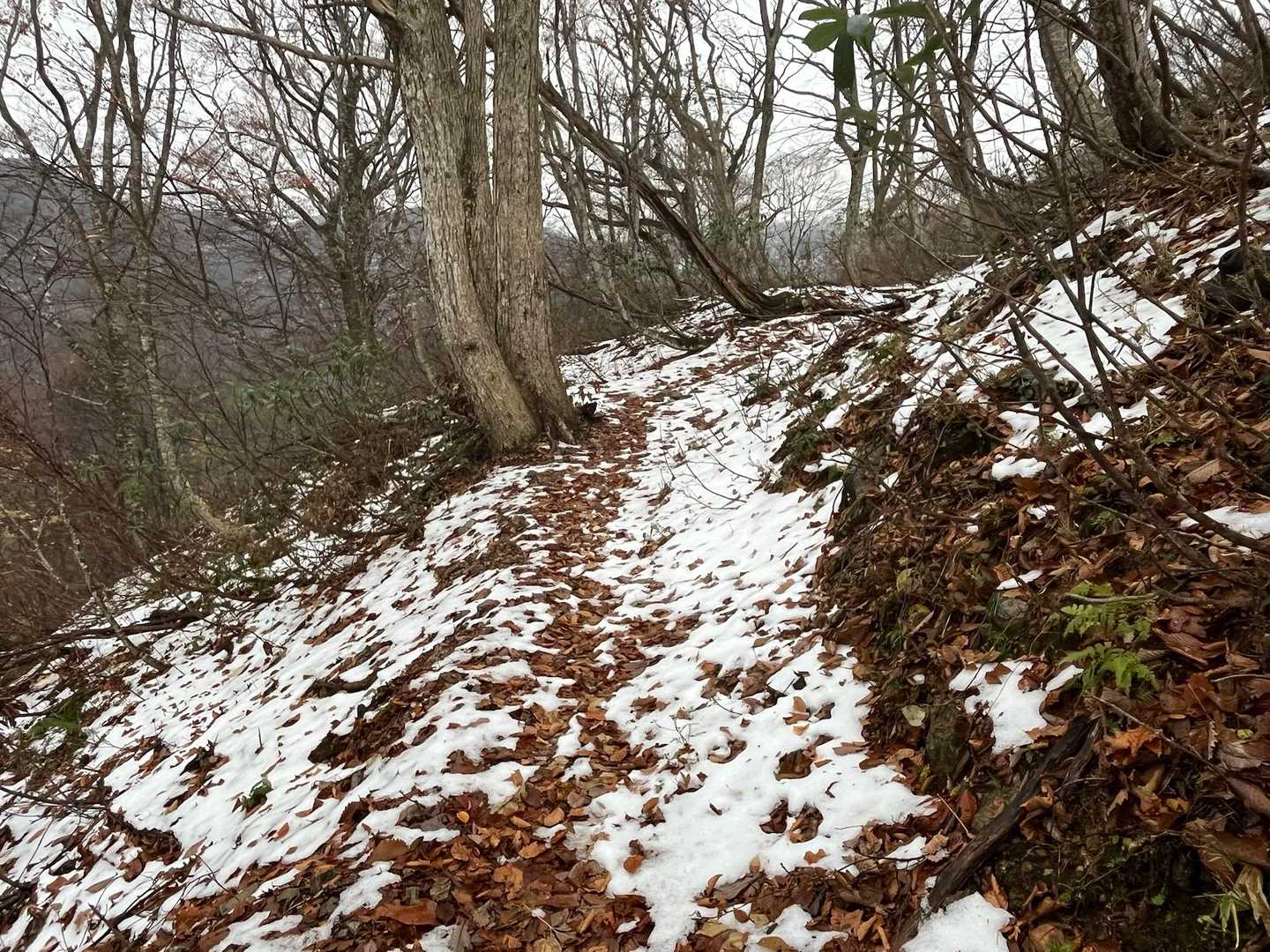 残雪が増し増し❄️