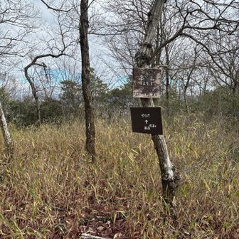 あっという間に到着