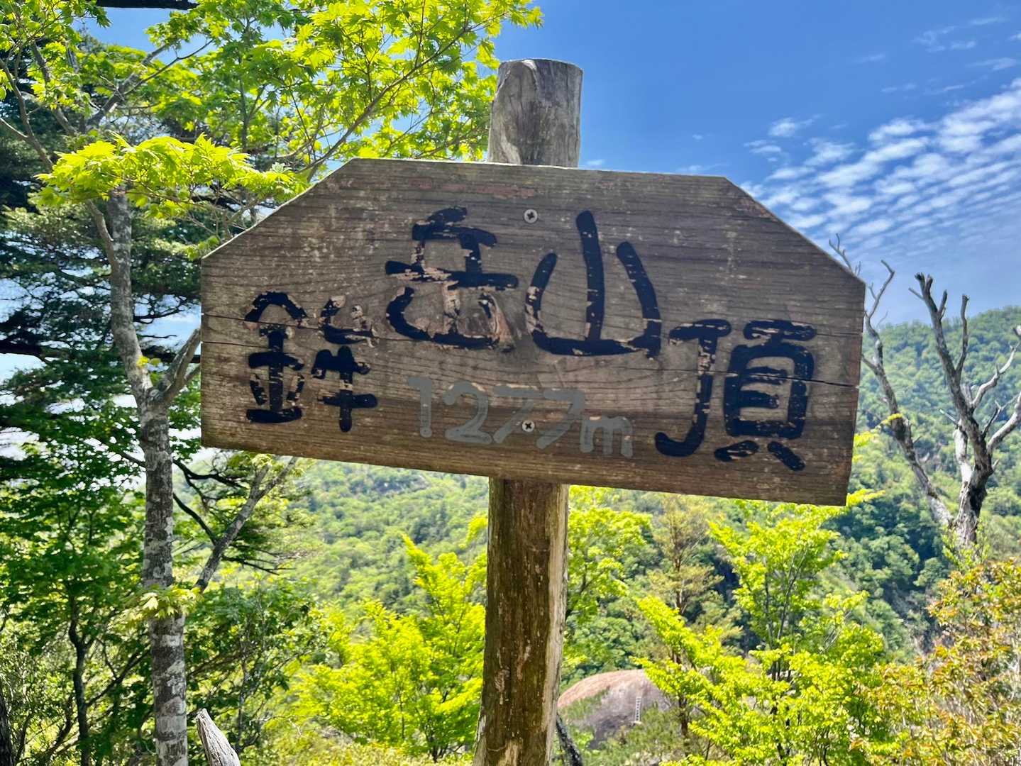 景色が綺麗