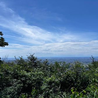 お天気最高
