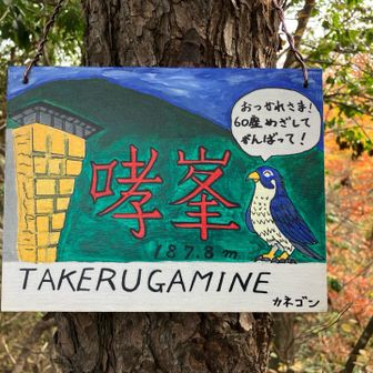 はーい🙋‍♂️ありがと山です☺️