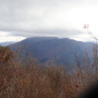 正面は大室山かなぁ→手前が加入道山で奥の頭にガスがかかっているのが大室山のようです。

丸いベンチがあります。