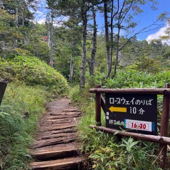 何とかロープウェイの最終には間に合いそう。