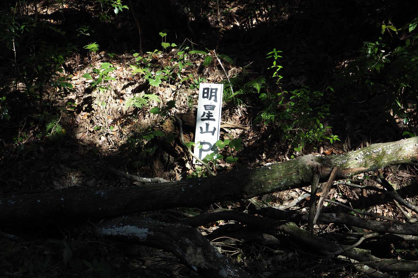 路肩の駐車場
