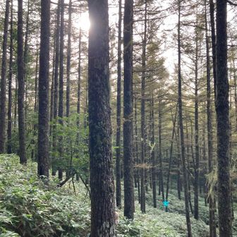 この光の感じもいい