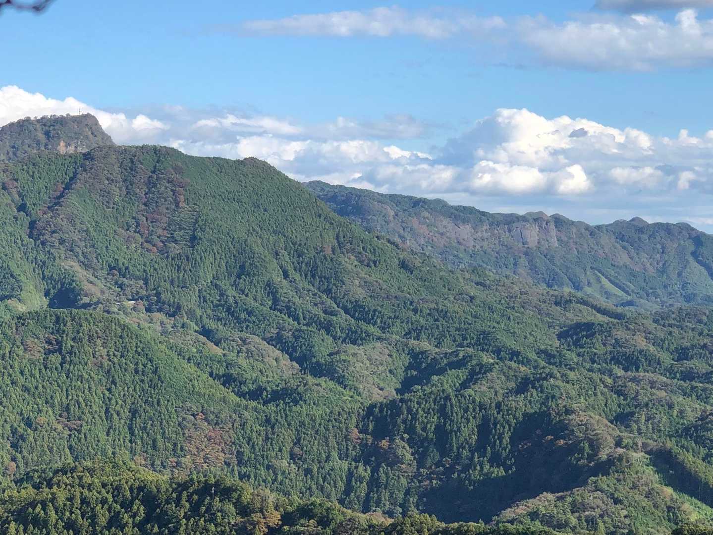 鷲の巣山登山口-鷲の巣山 往復コースの写真