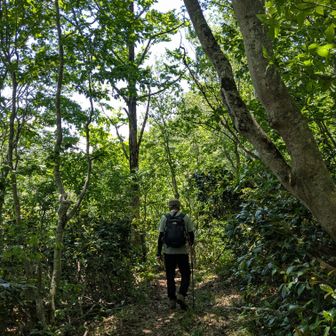 このあたり会津駒ヶ岳の雰囲気に似てるね〜と
話しながら下りました🍀