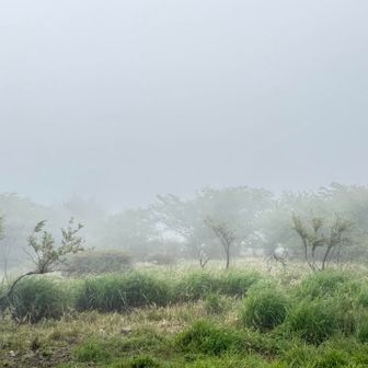 ま、想像通り🌂
雨降ってないだけ上出来✩.*˚