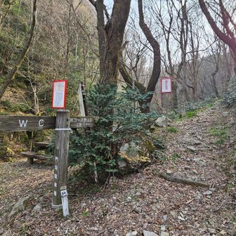 ここから取り付く。