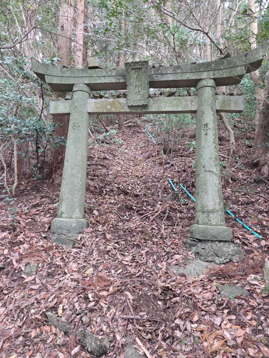 ここの鳥居低いんです⛩️