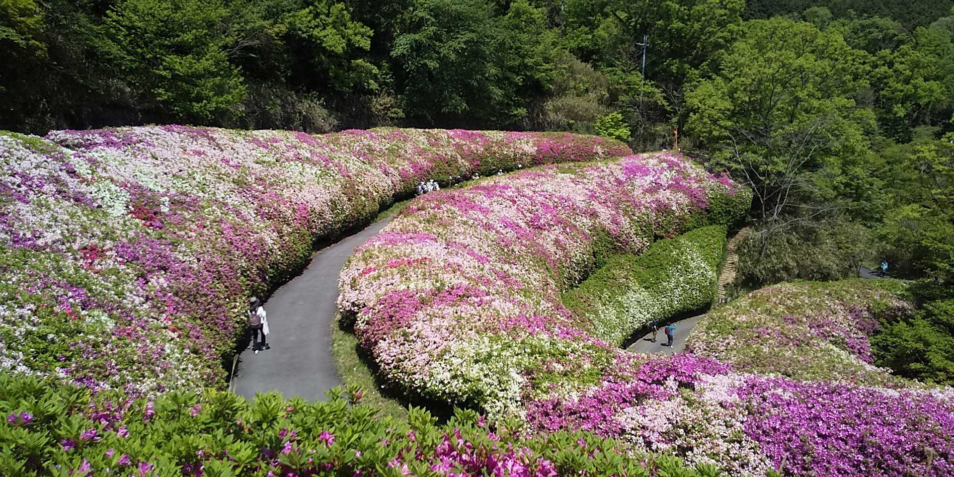 目的地到着🌺🌺🌺