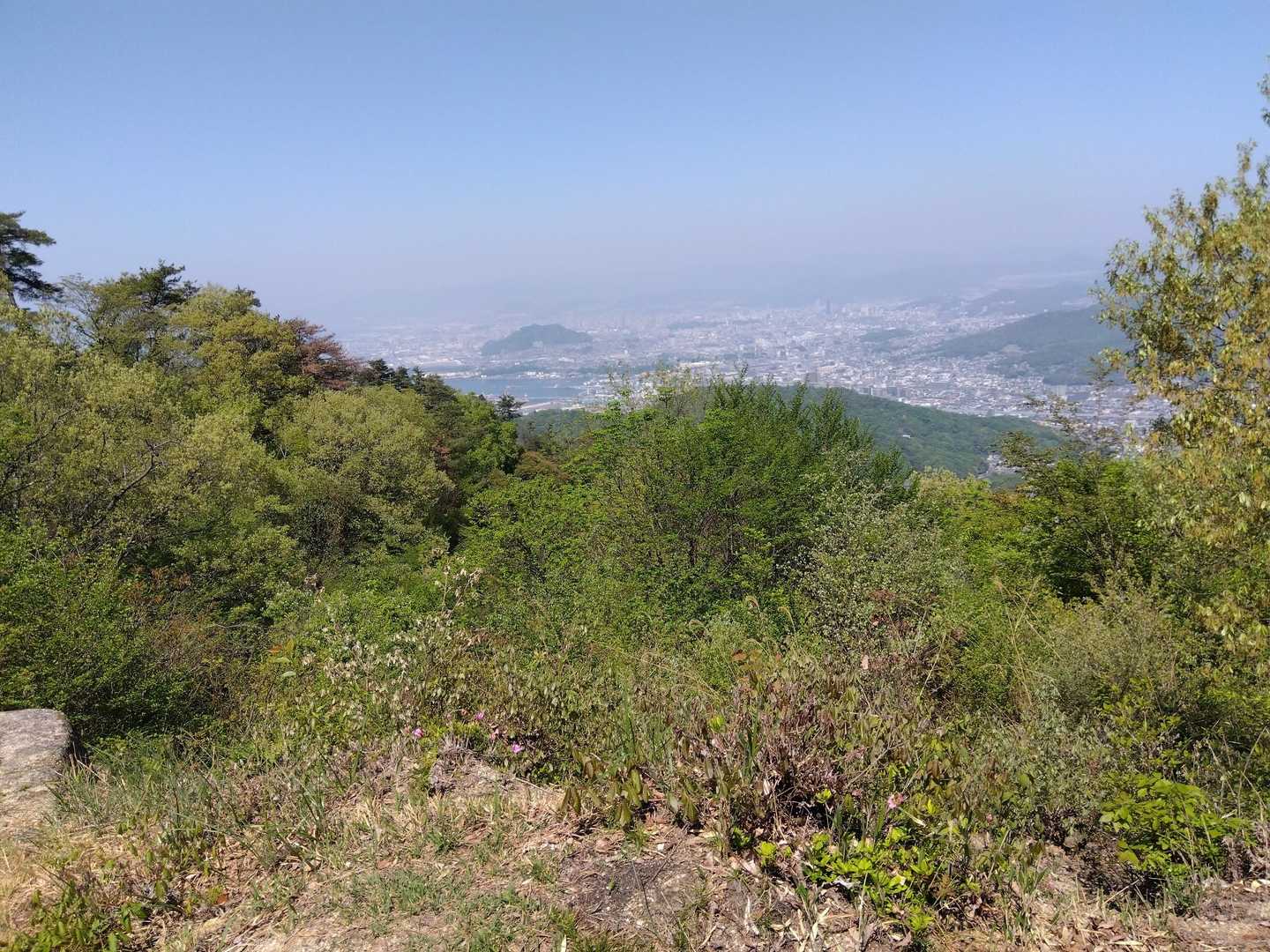 大きく開けてナイスビュー🤩
