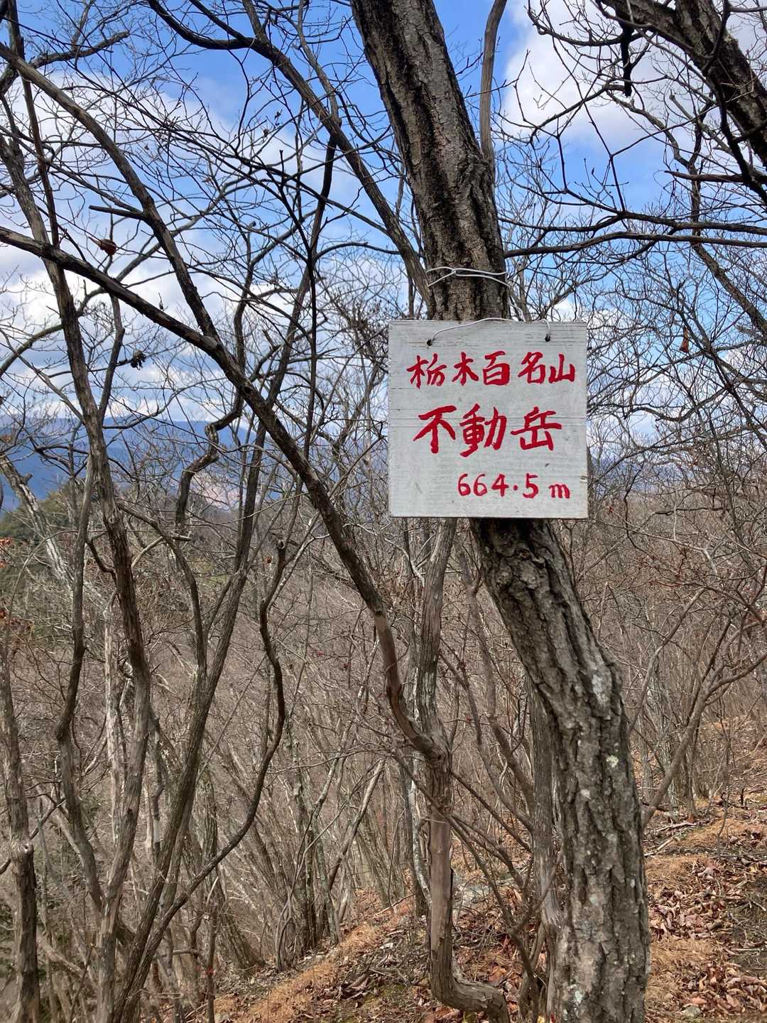 不動岳-塩沢峠 周回コースの写真