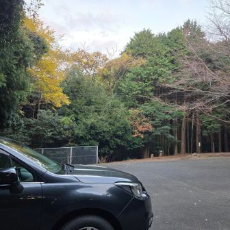 お疲れやま～♪
下山し気になったのが、ほかに車が無いのに...ひとりの中高生がスマホをポチポチしながら座り込んでいた🚹聞くと…家族に連絡済みで、迎えを待っているとのこと。
迎えが遅くならねばいいが…まぁ問題なさそうなので、先にこの場立ち去りました🚙