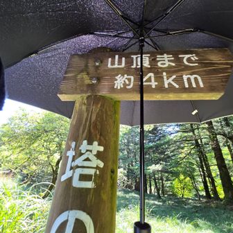 下山
今日はリ○Dの効果が残っているのでお弁当(と言ってもまだ９時40分)を食べてえっとぶりに丸笹山に行ってみようかな👣
