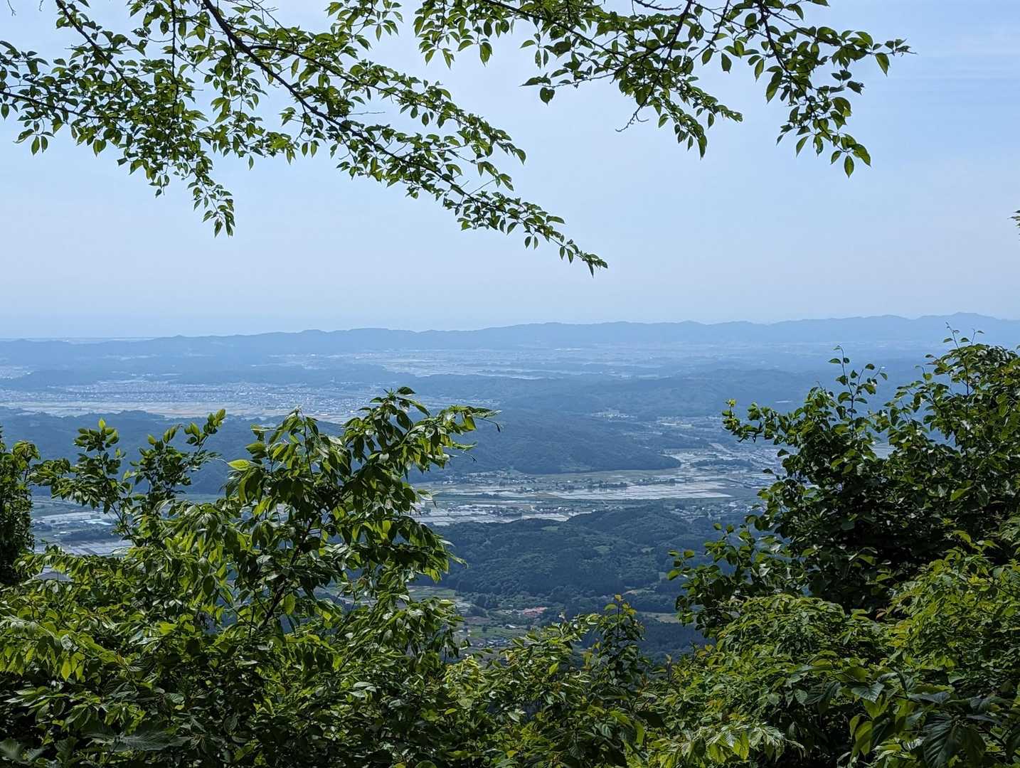 青麻山 周回コースの写真