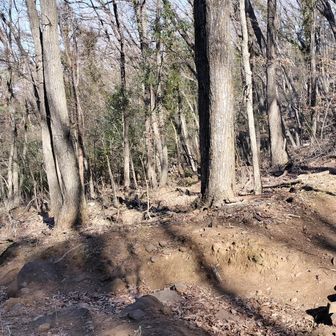 つづら折りの道を直行する明瞭な踏み跡があって、惑わされやすいです