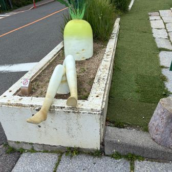 ガーデンテラスにて、セクシーだいこん