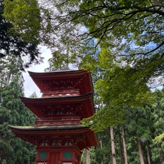 綺麗な朱色の三重塔