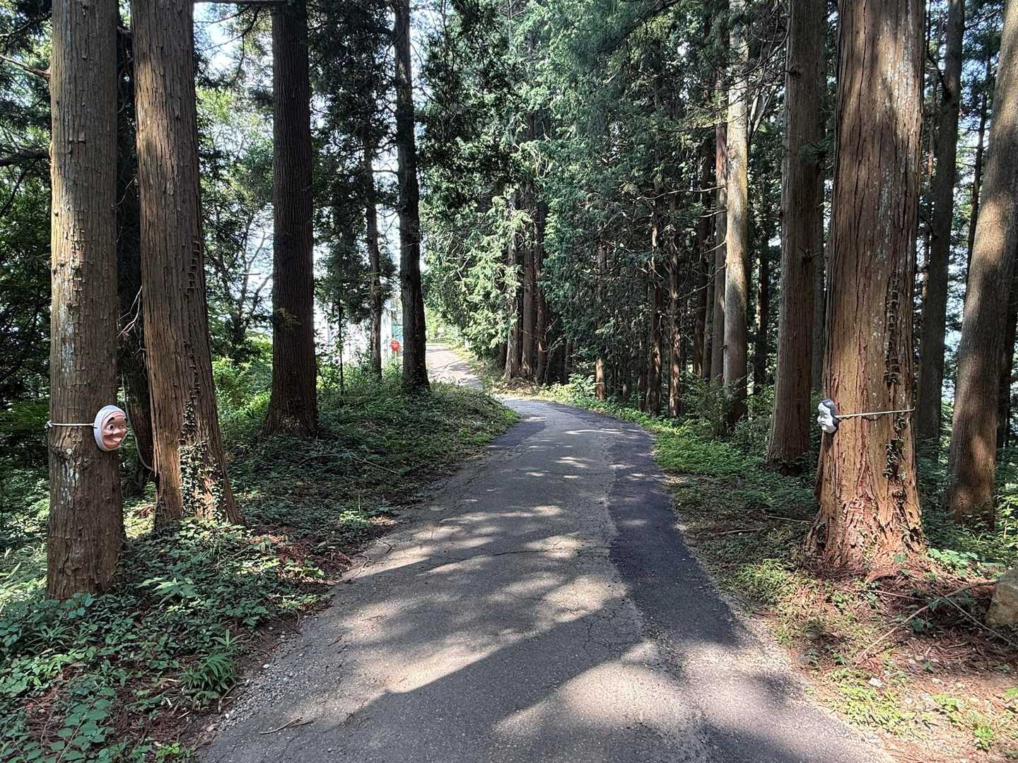 今日も仲良く見つめ合い✨
