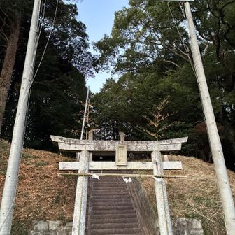 まずはグレーピーク横山から🙏