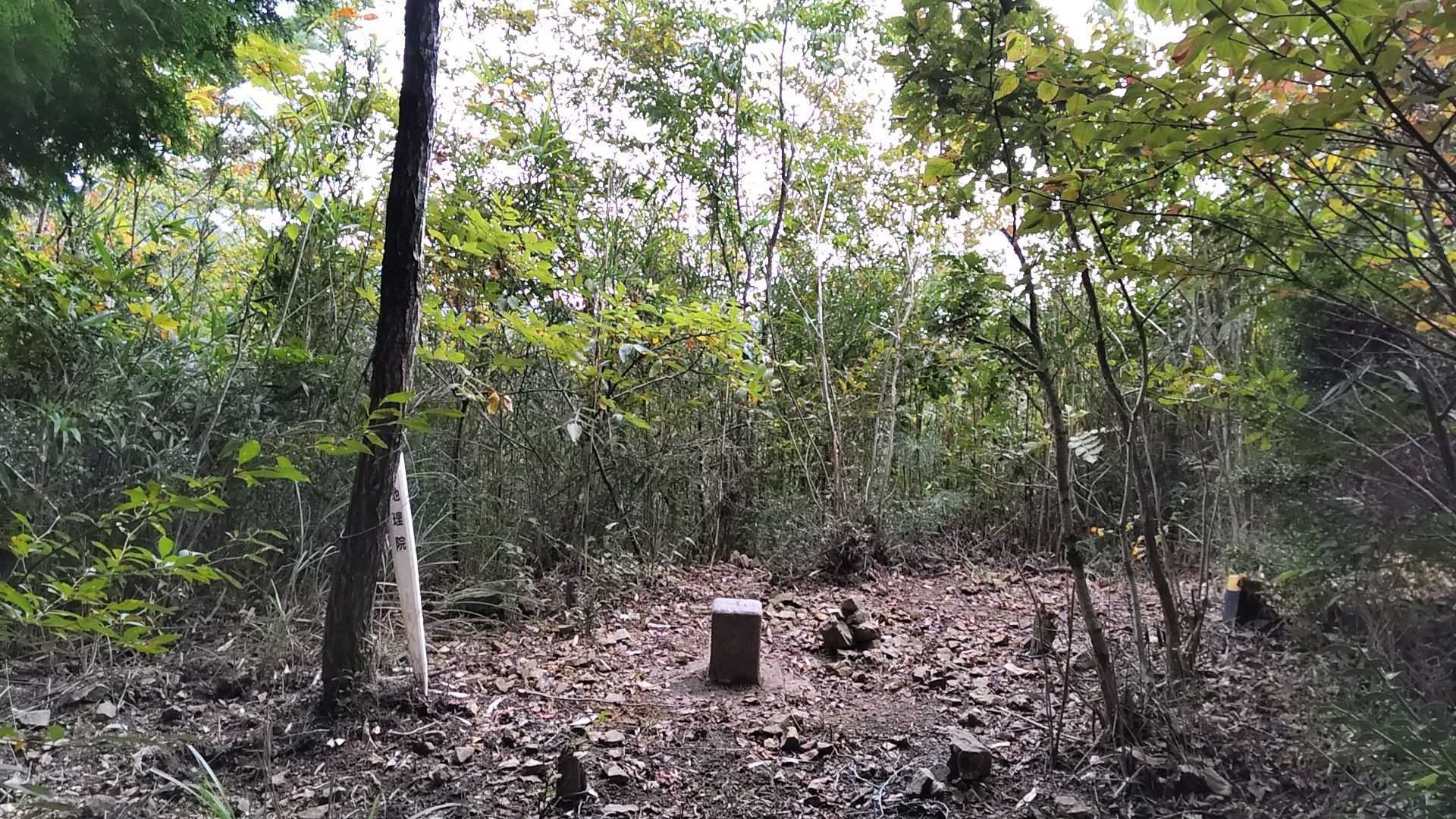 山頂✨