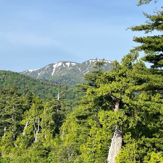 下大倉山から平ヶ岳見えた…遠いな😅