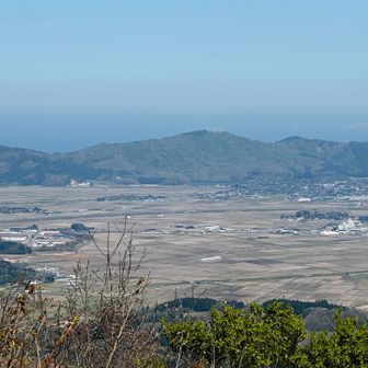 お花の山🌼🌸 高館山