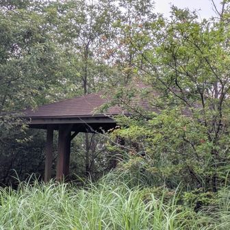 内浦山へちょっと立ち寄り
山頂にはなんか目印あったような〜
あれだったかな❓