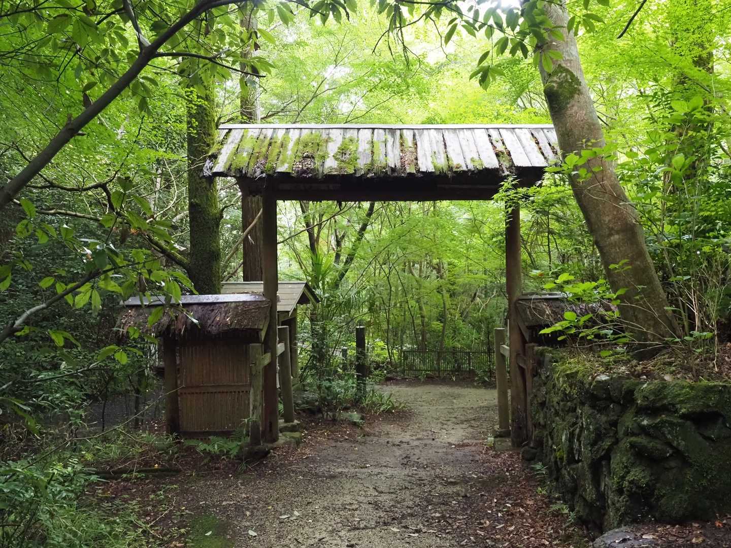 緑の祐泉寺。
涼しげなこの写真をカバー写真にします😊