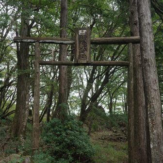 ヤマトタケルの足跡に渋めの鳥居