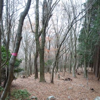 ピストンで下ります♪