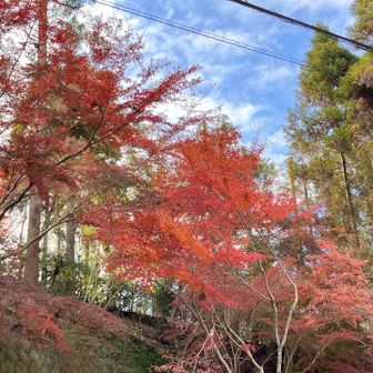 程なく駐車場🅿️
明水荘側の紅葉も綺麗でした
今日もありがとうございました🥰✨🙇‍♂️