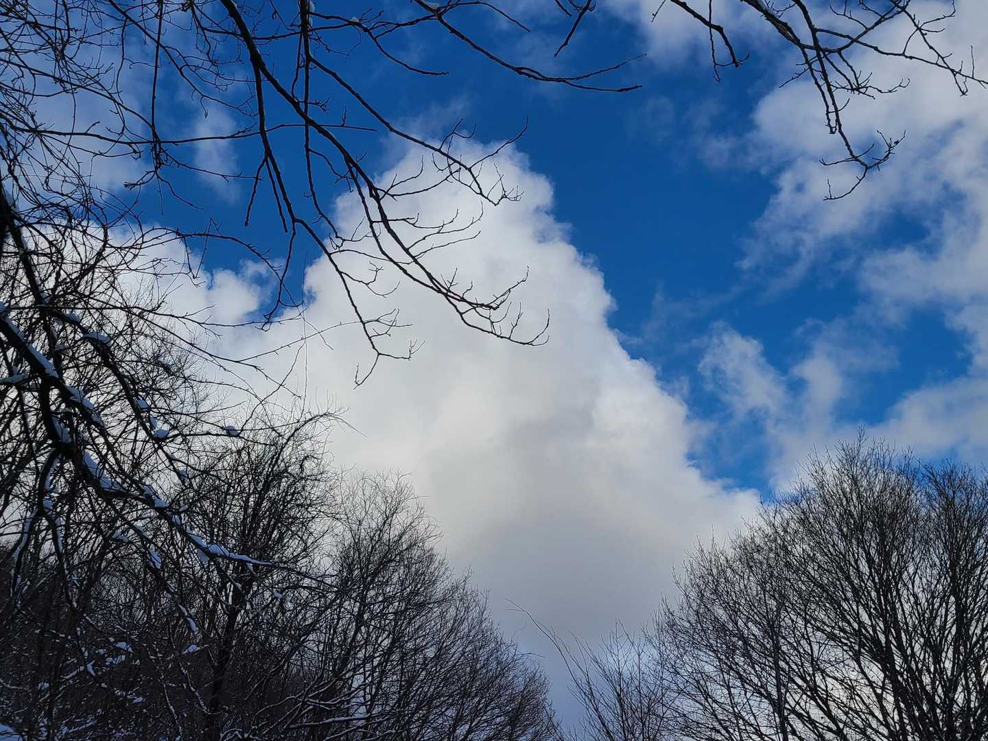 珍しくいいお天気✨