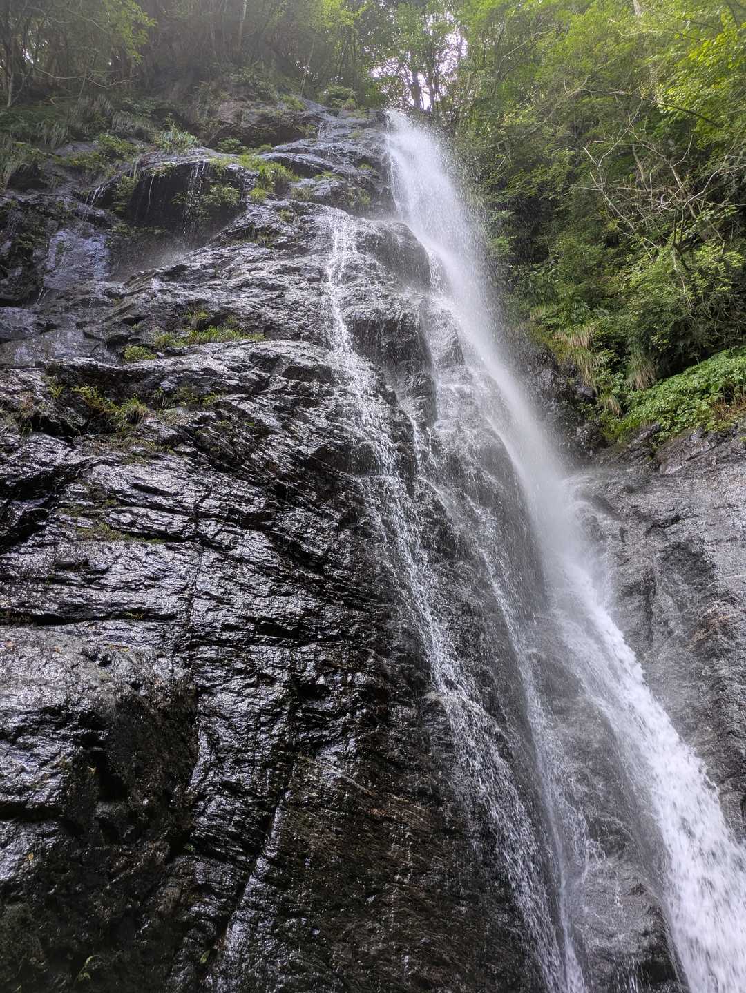 井水山 周回コースの写真