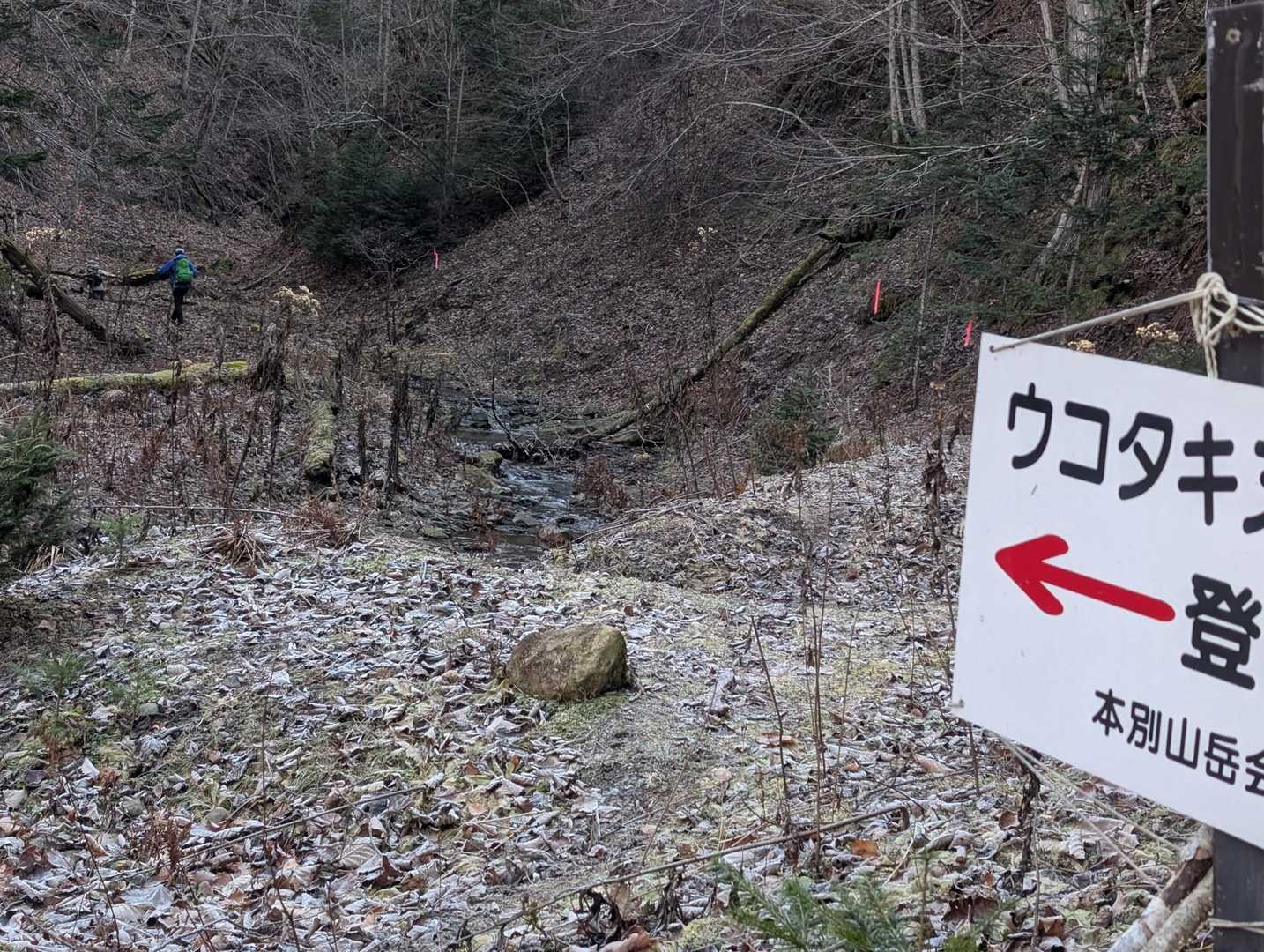 下山
そしてちょうどお二人組様いってらっしゃい！