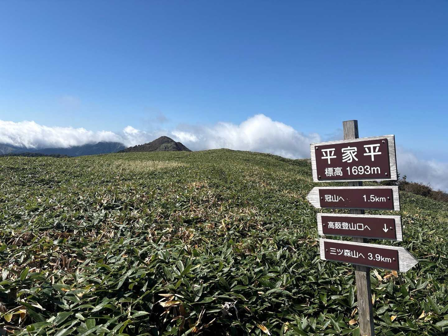 高薮登山口-平家平 往復コースの写真