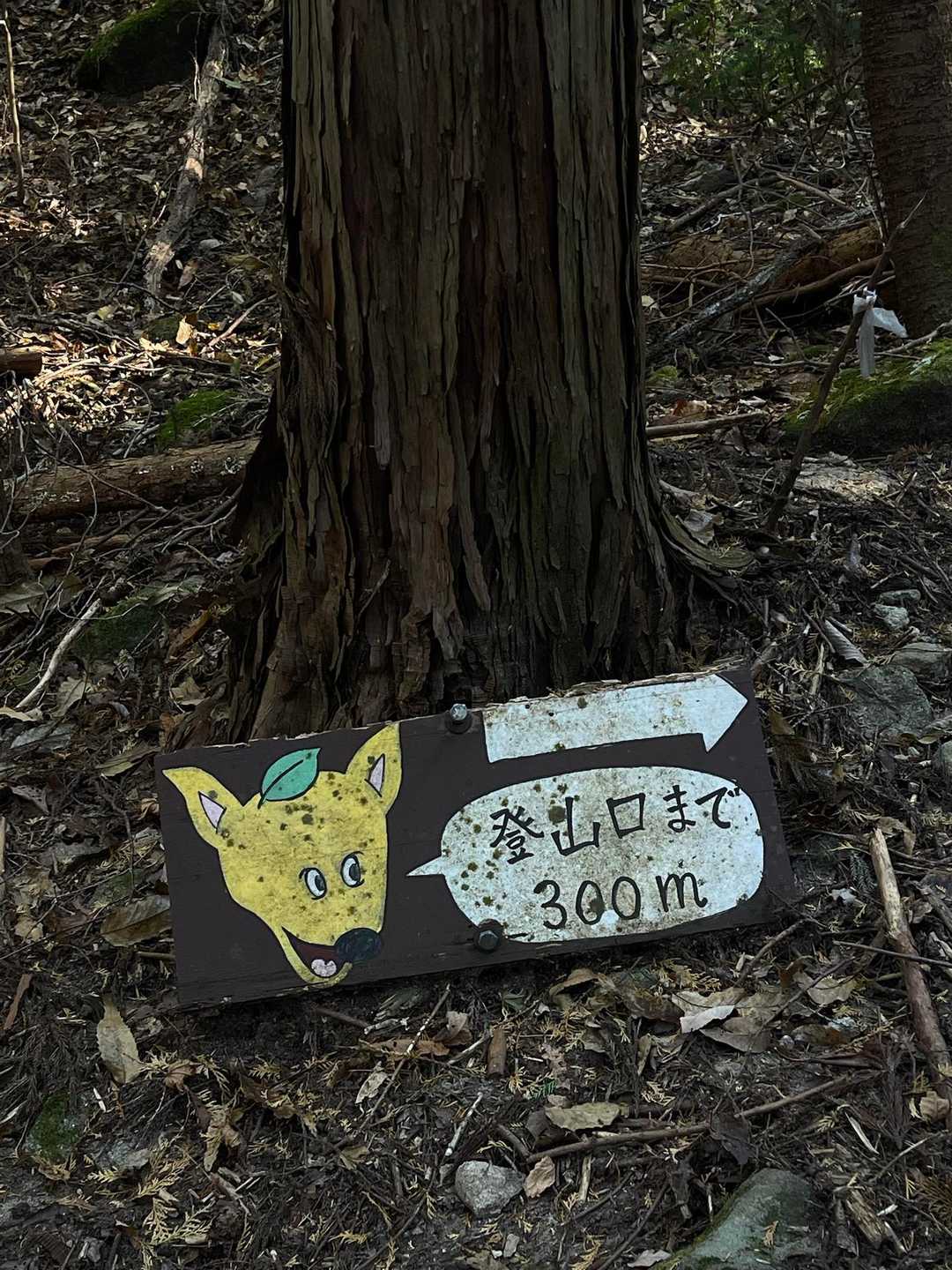 炮烙山 往復コースの写真