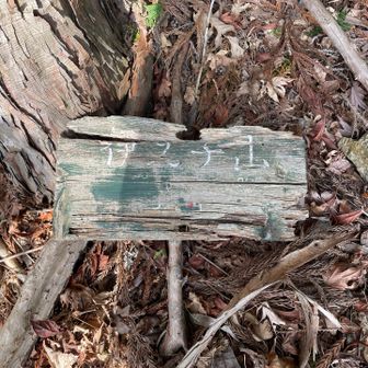 伊之子山でハイキングクラブの古い標識発見